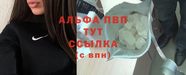 крисы Аркадак