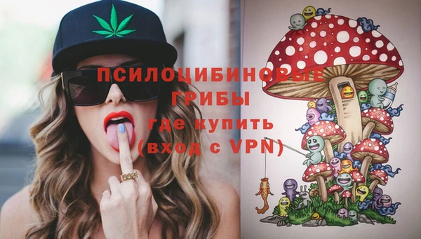 крисы Аркадак