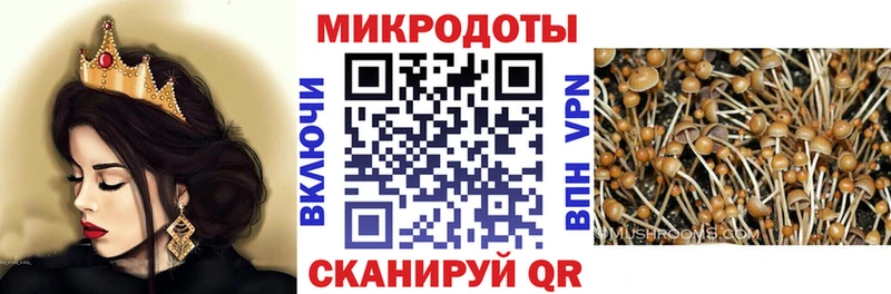 гидра вход Кукмор Галлюциногенные грибы Magic Shrooms